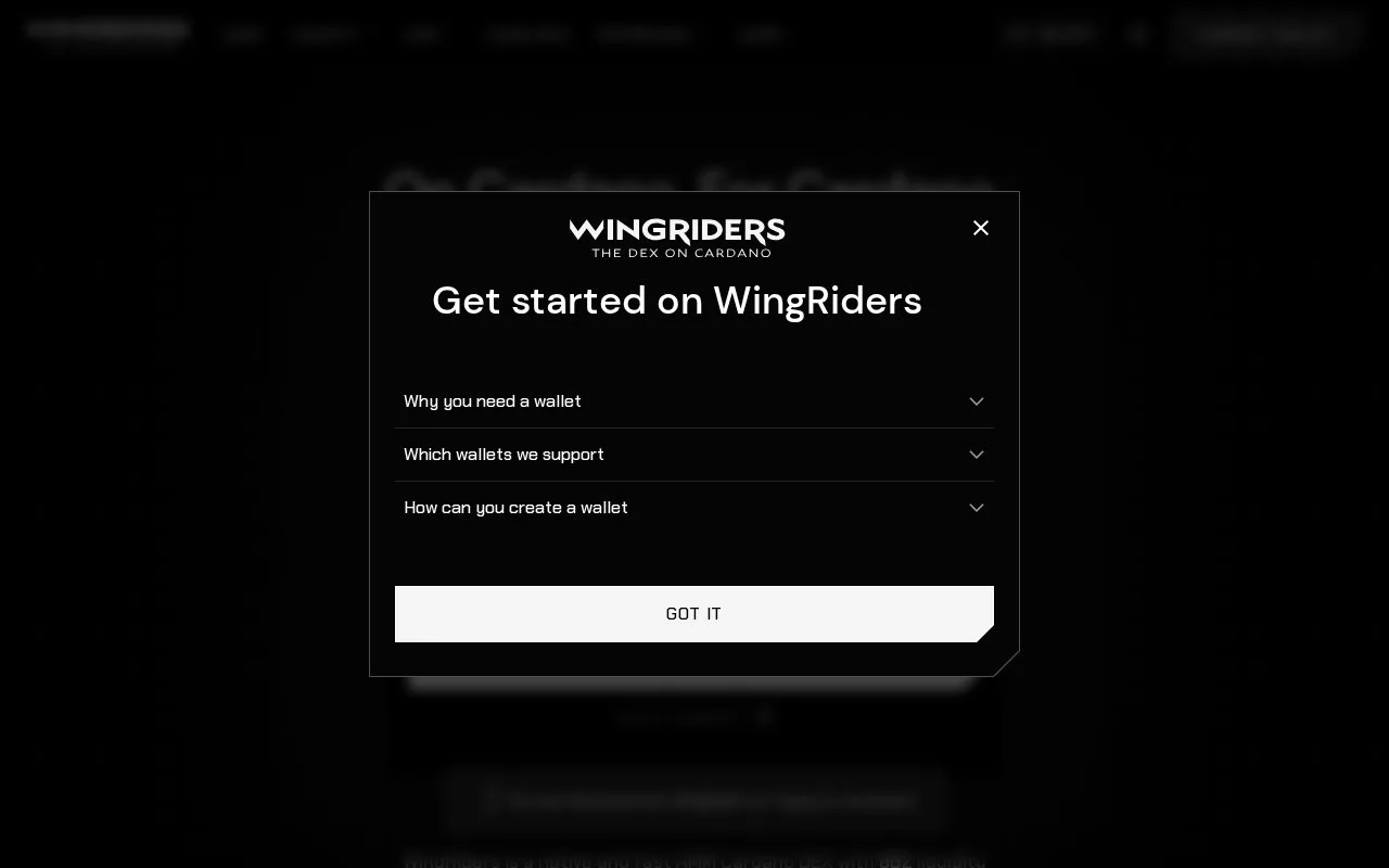 Screenshot of the WingRiders homepage