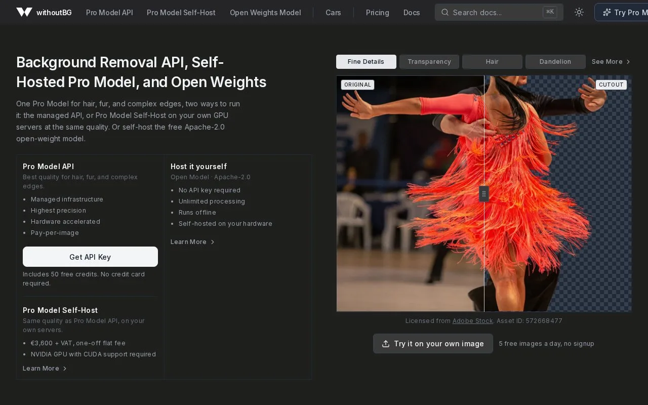 Screenshot of the withoutBG homepage