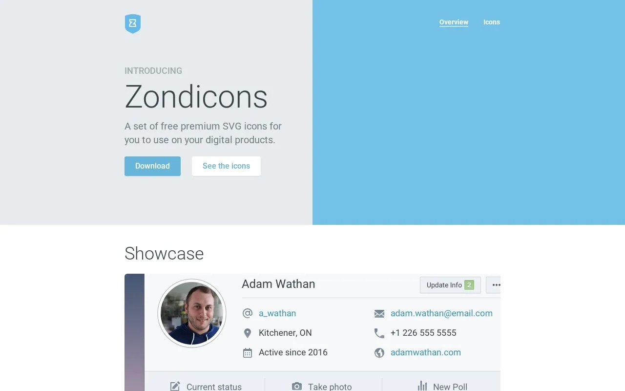 Screenshot of the Zondicons homepage